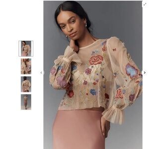 Anthropologie Long-Sleeve Applique Mesh Top